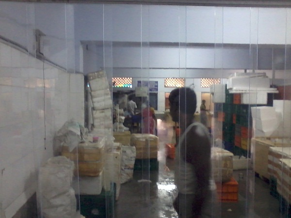 industrial pvc strip curtains